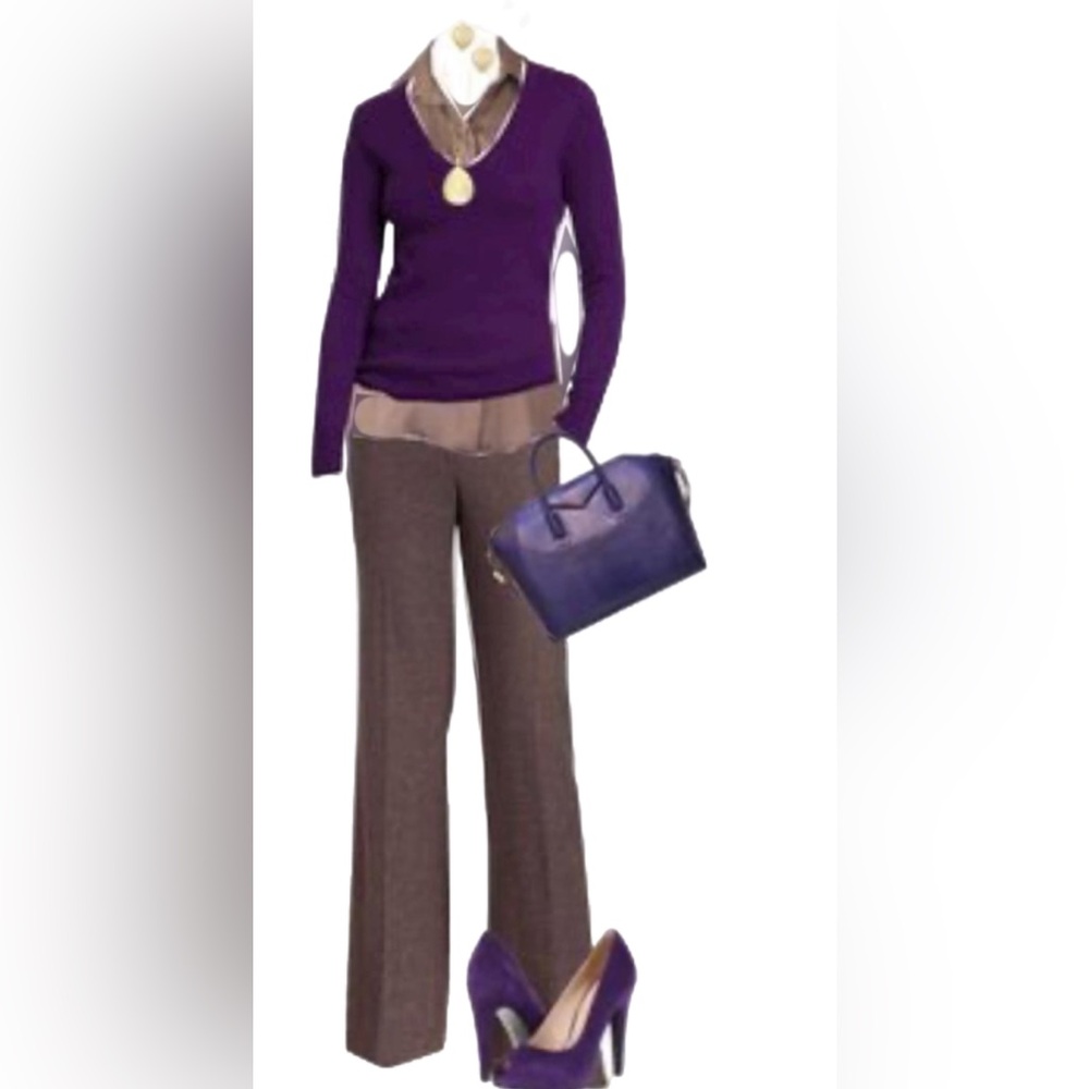 Banana Republic Lindsey Wool Pants Women ( Brown)  Sz 8